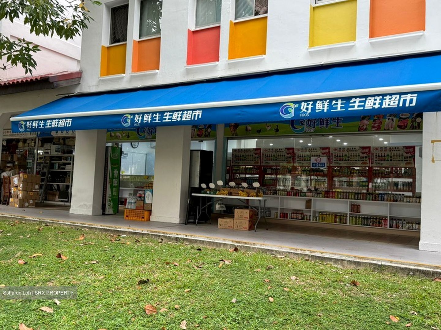 Geylang East Avenue 2 (D14), Shop House #559981631